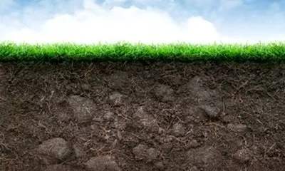 What is the relationship between microorganisms in soil