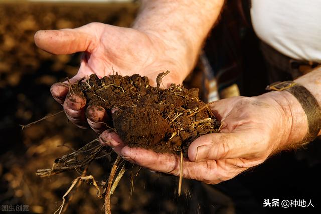 This is what a healthy soil should look like